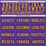 Custom Purple Gold Mesh Authentic Throwback Football Jersey Custom Purple Gold Mesh Authentic Throwback Football Jersey